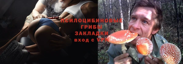 молекула духа Мегион
