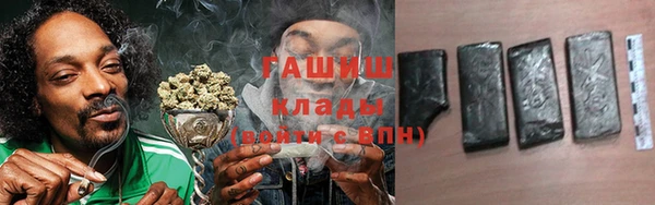 молекула духа Мегион