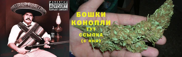 молекула духа Мегион